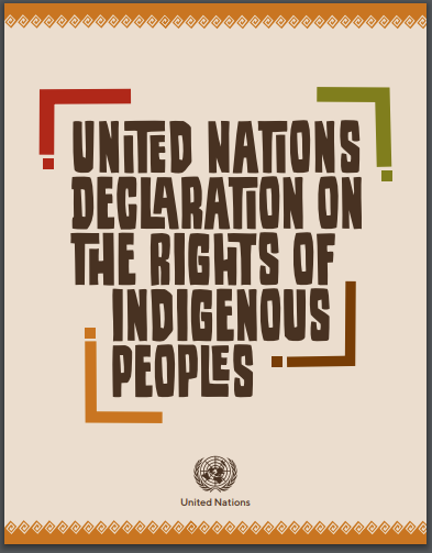 undrip-cover